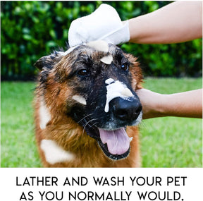 PawComfort – Rinse-Free Grooming Solution