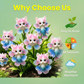 FloraRare – Catfish Orchid Seed Pack