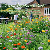 FloraBurst – Mixed Perennial Flower Seeds Collection
