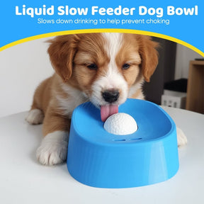 SipGuard – Controlled Drinking Bowl for Pets