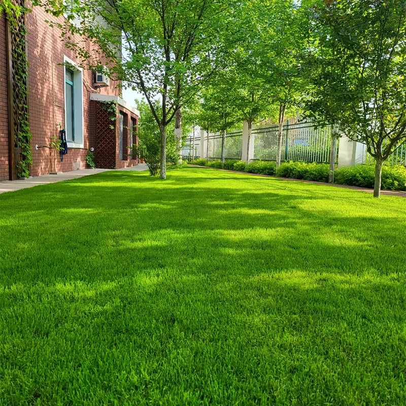 LawnRevive – Quick Repair Grass Seed Mix