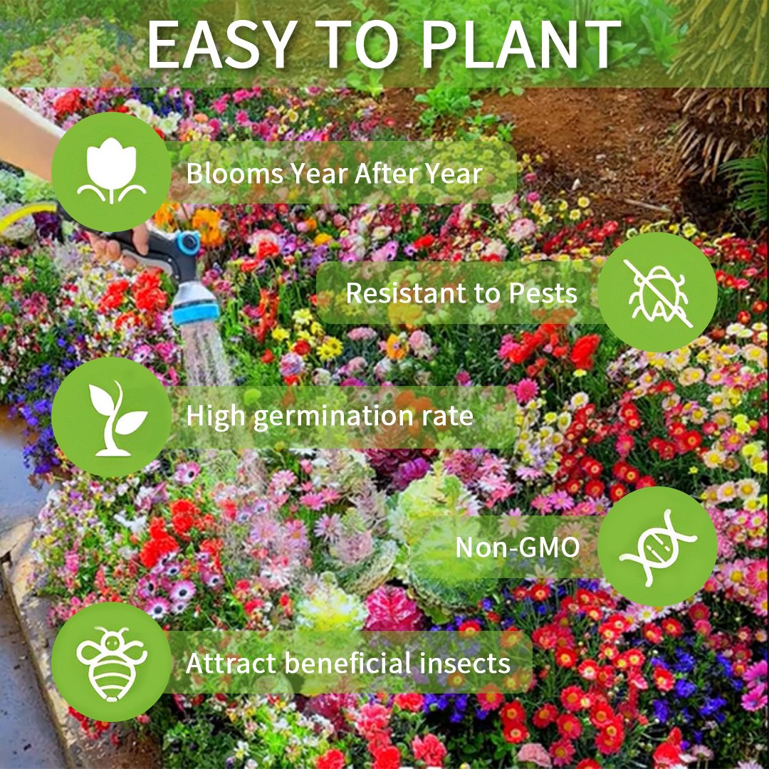 FloraBurst – Mixed Perennial Flower Seeds Collection