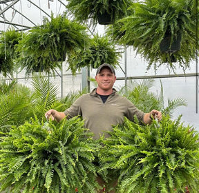 LeafLuxe – Realistic UV Protected Artificial Boston Fern