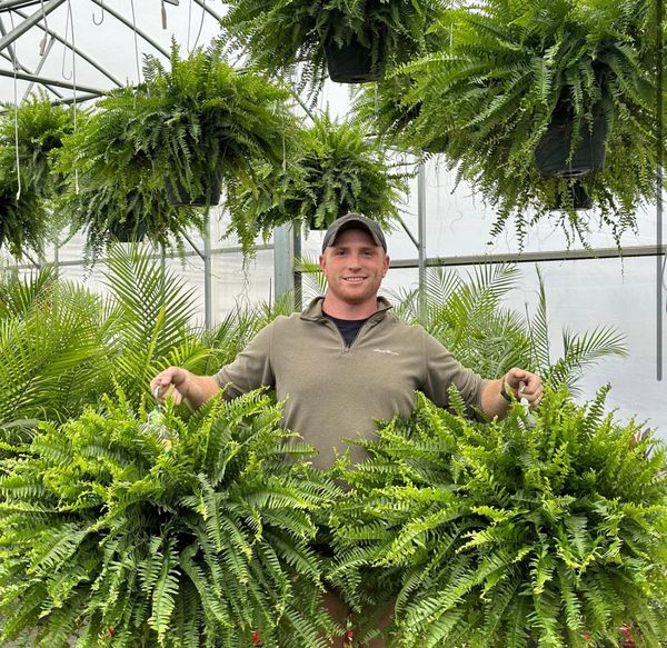 LeafLuxe – Realistic UV Protected Artificial Boston Fern