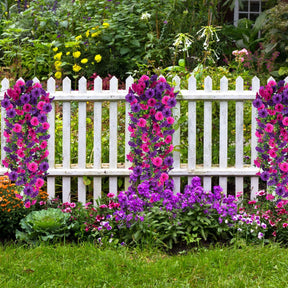 EternaBloom - Maintenance-Free Garden Flowers