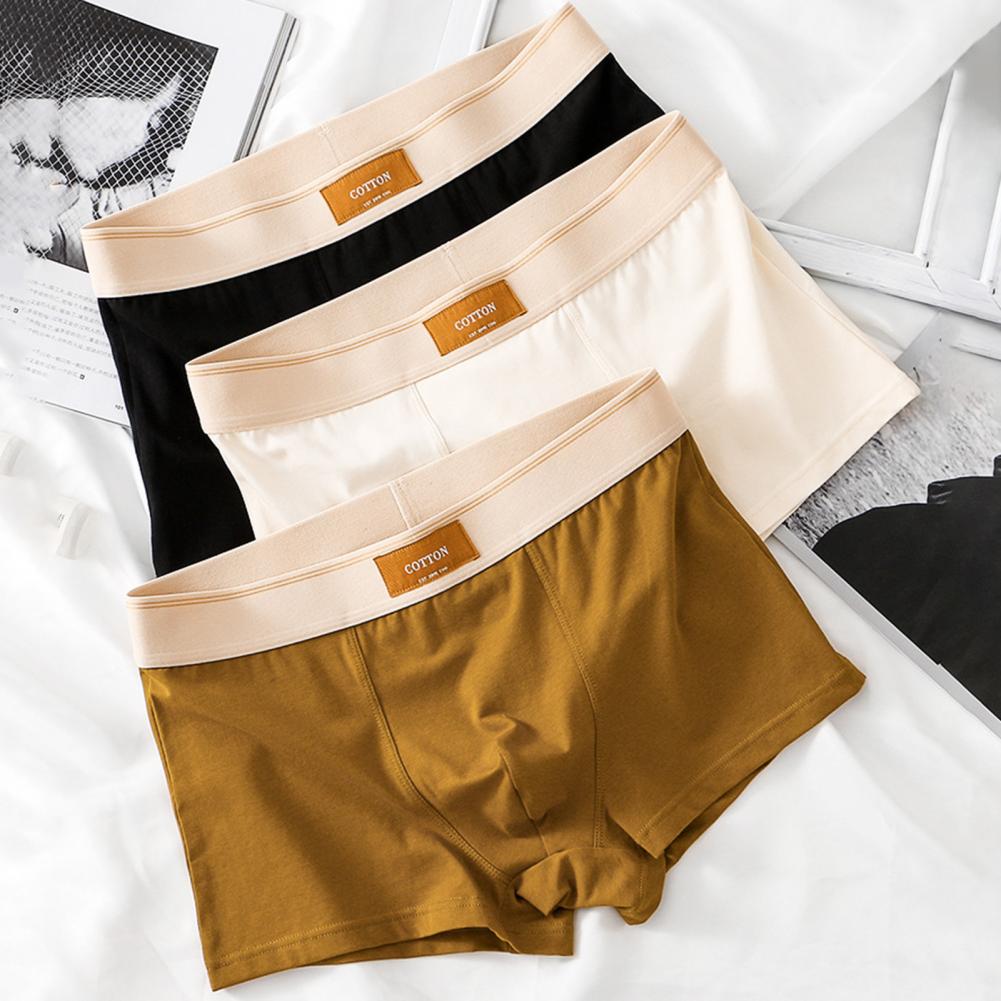 Cotton Boxer Shorts | Lupi
