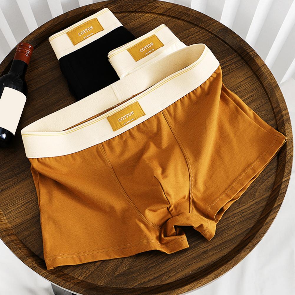 Cotton Boxer Shorts | Lupi