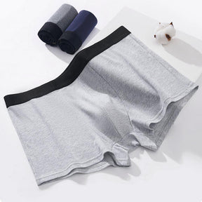 Basic Boxer Shorts | Lupi