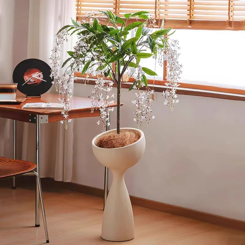 WinterBloom – Winter-Friendly Hanging Jasmine Plant