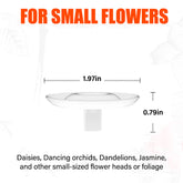 FloraFloat – Creative Floating Floral Arrangement Holder