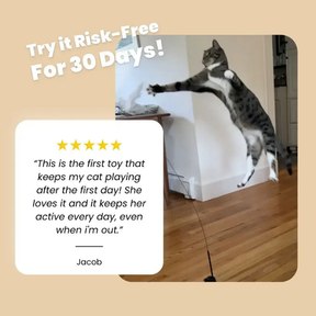 CatVibe – Stimulating Interactive Toy Set