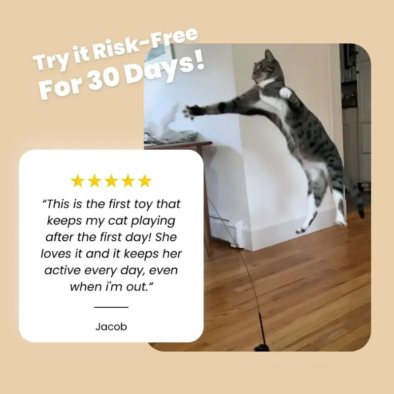 CatVibe – Stimulating Interactive Toy Set