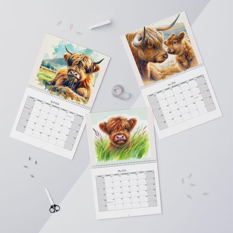 HighlandHugs – 2026 Cute Highland Cow Wall Calendar