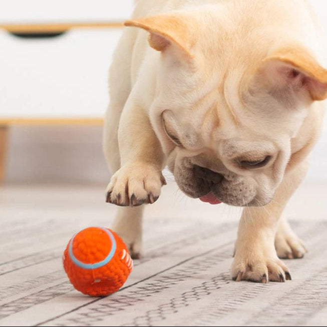 ToughPaw – Durable Chew Ball for Dogs