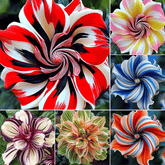 BlossomElite – Premium Double Hibiscus Seeds