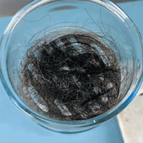 DrainGuard – Pipe Dredge Deodorant