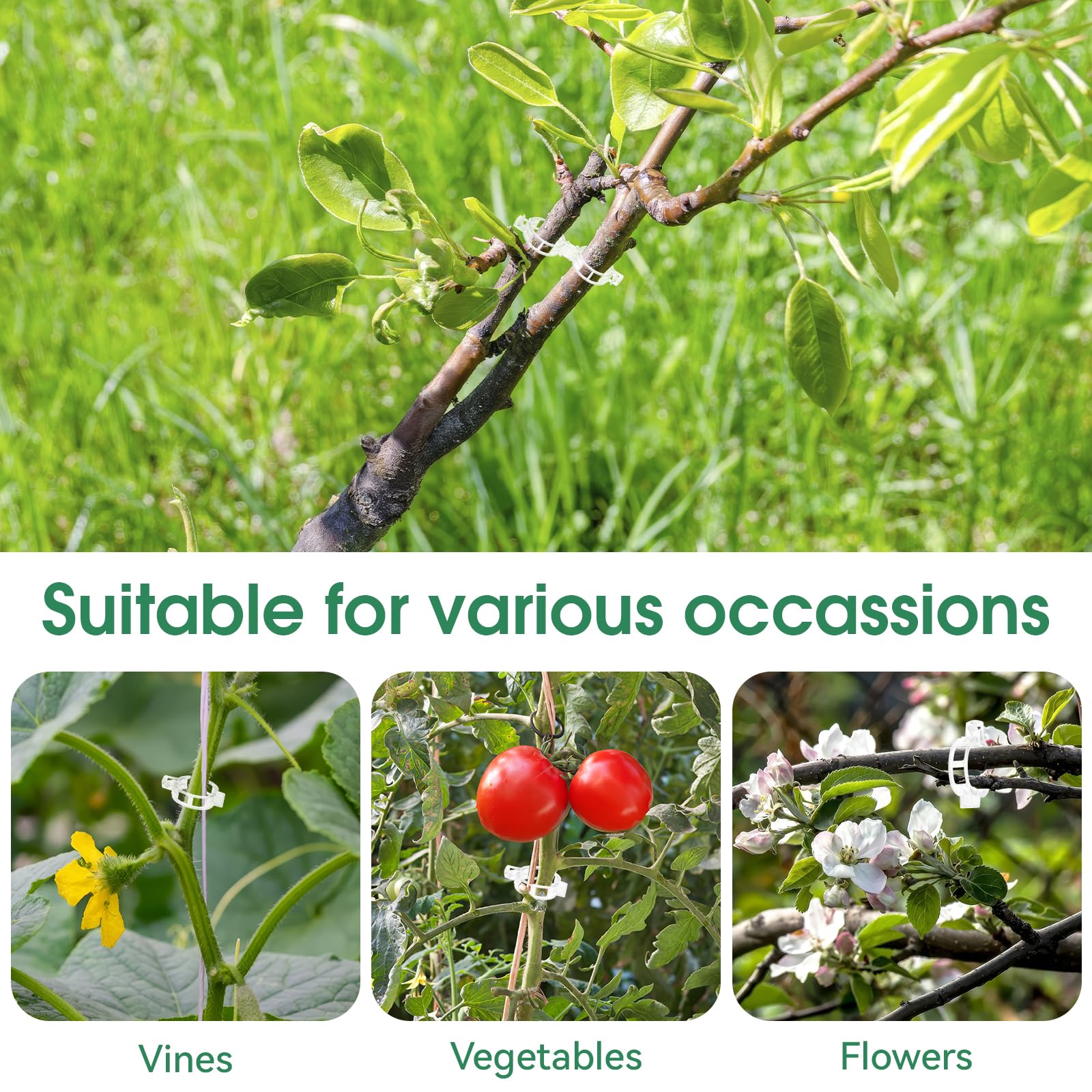 VineHold – Plant Support Clips