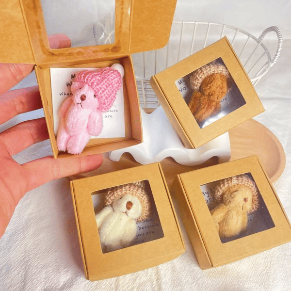 HugBear – Mini Plush Teddy Bear Surprise Box