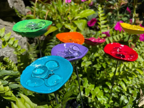 BeeHaven – Pollinator-Friendly Insect & Butterfly Drinking Cups