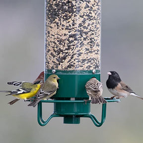 SeedGuard – Smart Hanging Bird Feeder