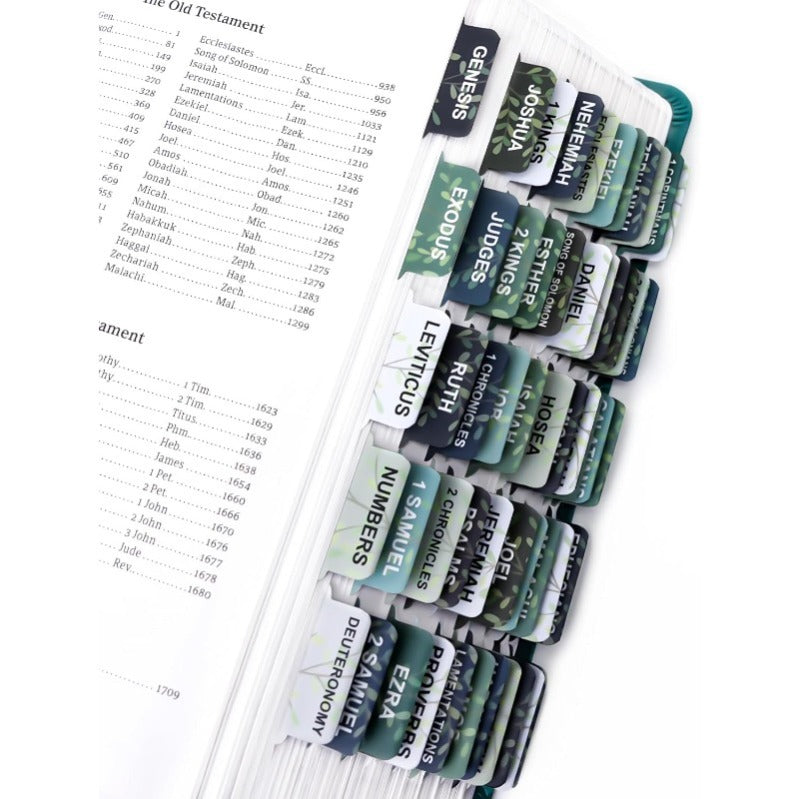 DivineTabs - Ultimate Bible Organizer