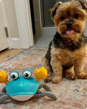 WagScuttle – Interactive Moving Crab Toy