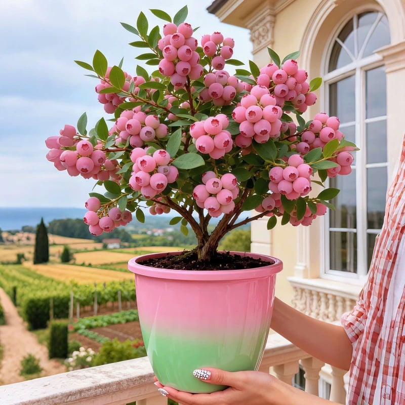PinkDelight Berries – Premium Garden Seeds