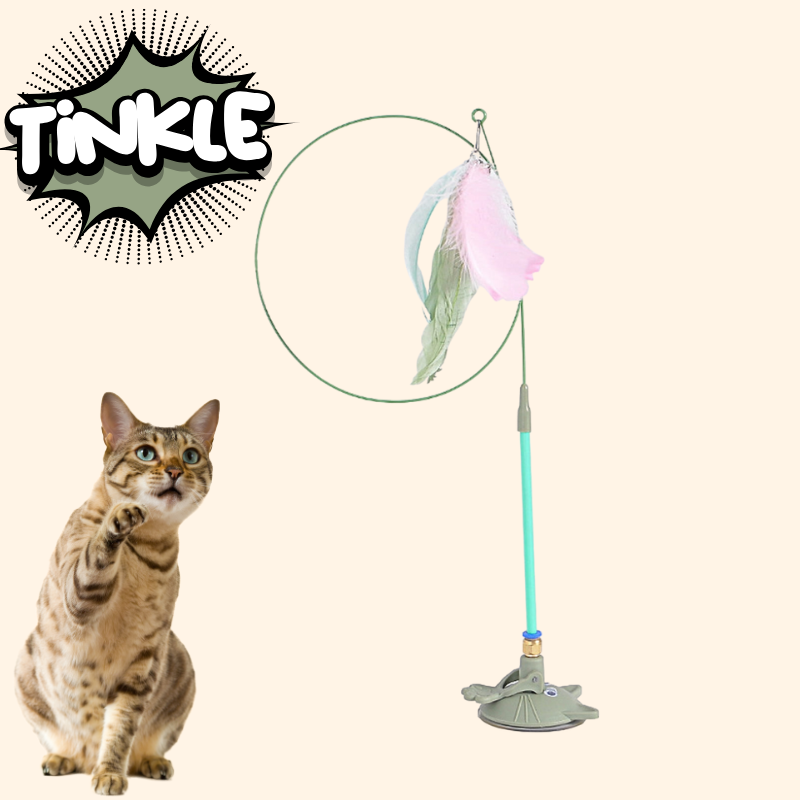 CatVibe – Stimulating Interactive Toy Set