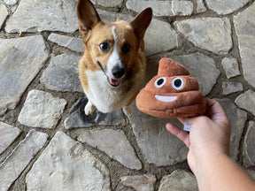 SqueezeBoo – Poop Plush Gag Toy