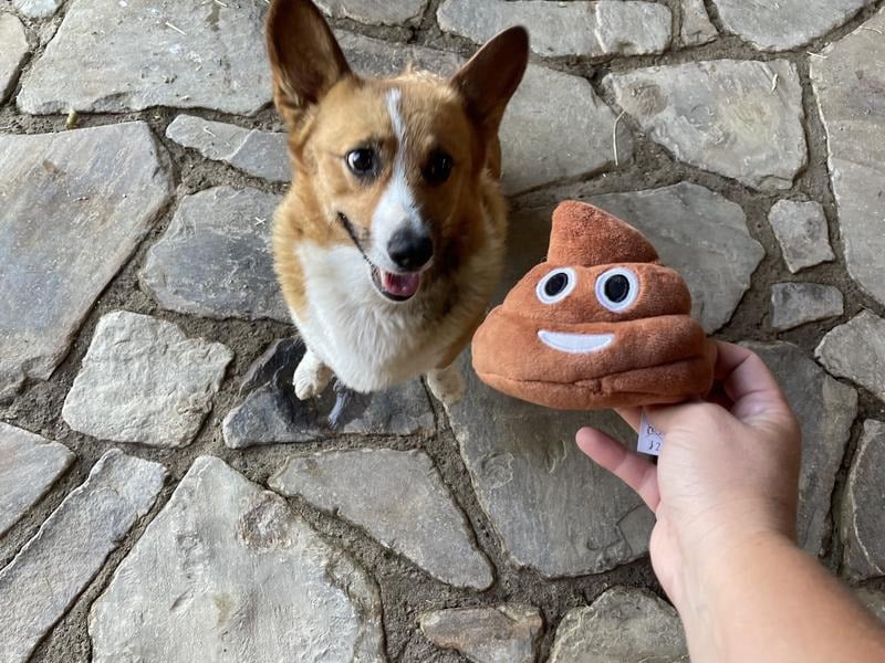 SqueezeBoo – Poop Plush Gag Toy