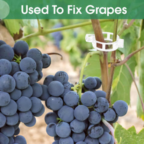 VineHold – Plant Support Clips