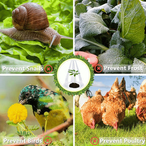 EcoBloom – Reusable Greenhouse Plant Covers