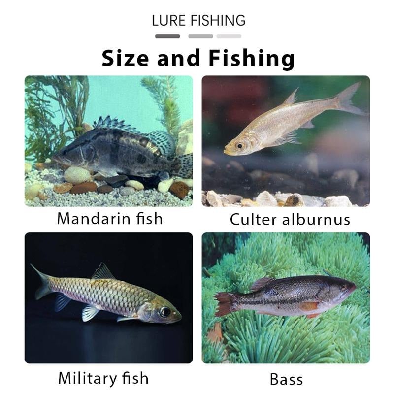 FishMagnet – Soft Bait Jig Head Lures Kit