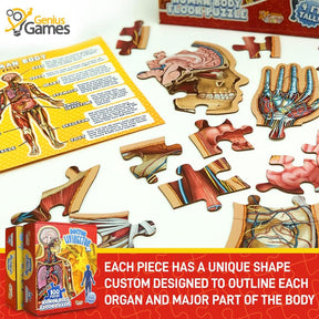 Organix – Interactive Anatomy Learning Puzzle