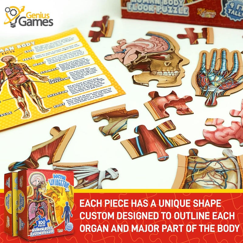 Organix – Interactive Anatomy Learning Puzzle