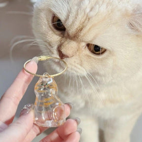 PawMemory – Cat Memorial Keychain Set