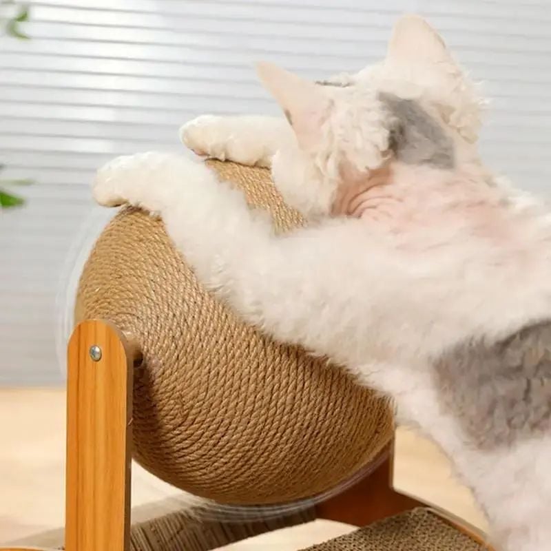 ClawSphere – Cat Scratching Ball Stand Toy
