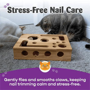 PawPuzzle – Cat Enrichment Scratch & Play Box