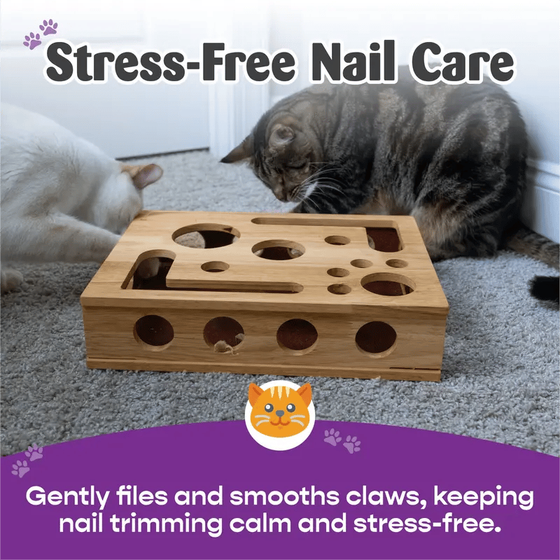 PawPuzzle – Cat Enrichment Scratch & Play Box