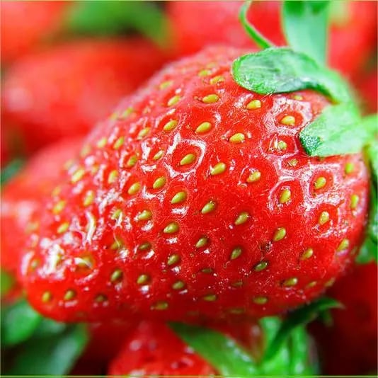 HarvestBerry – Garden Strawberry Seeds