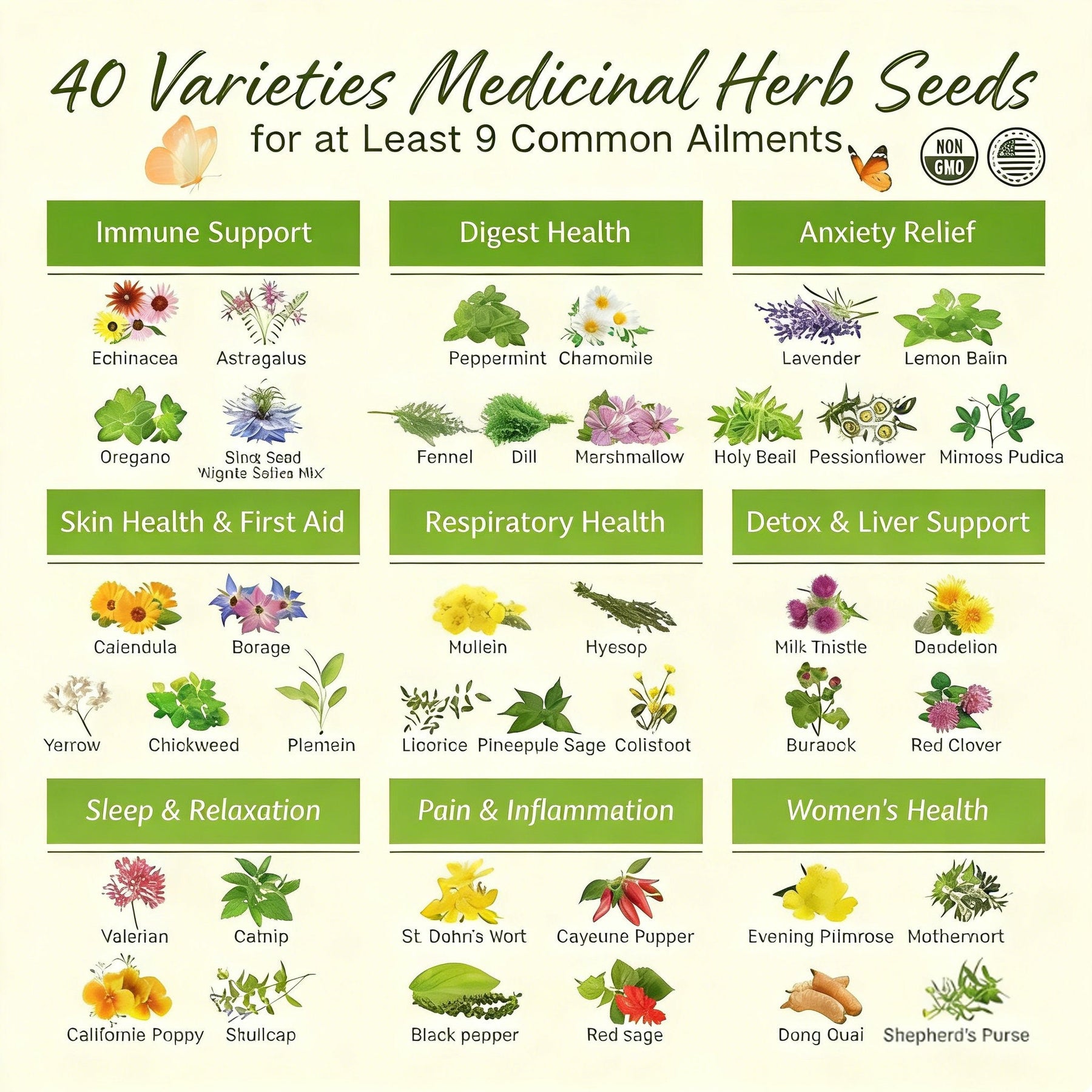 🌿The Ancestral Apothecary Seed Chest: 40 Varieties of Medicinal Herb Seeds 🌱