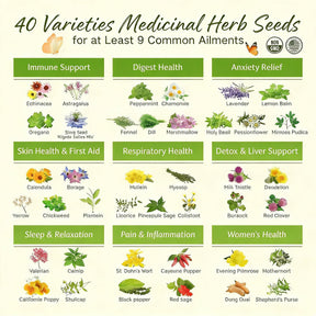 🌿The Ancestral Apothecary Seed Chest: 40 Varieties of Medicinal Herb Seeds 🌱