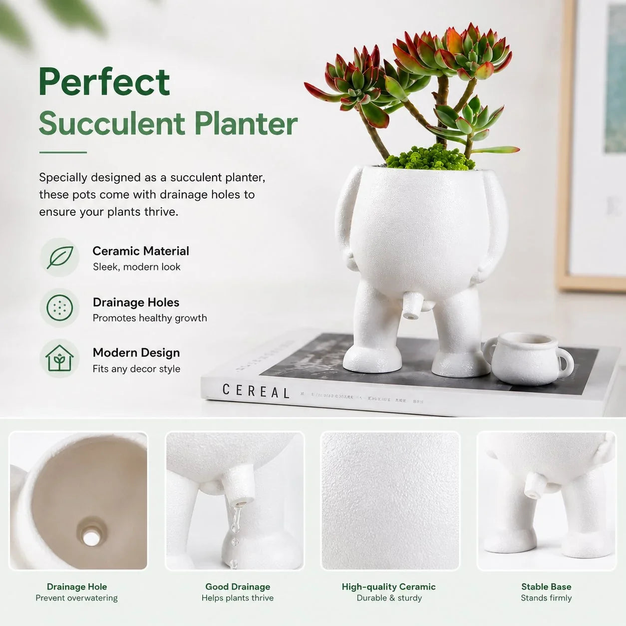 BloomSilhouette – Ceramic Plant Pot