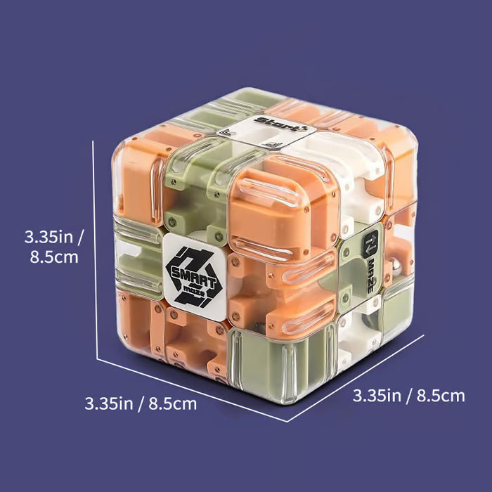 NeuroMaze – Large 3D Puzzle Maze Cube