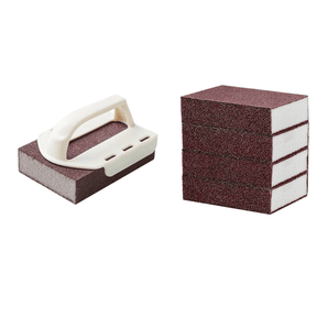 Cleanora – Magic Multi-Surface Cleaning Sponge