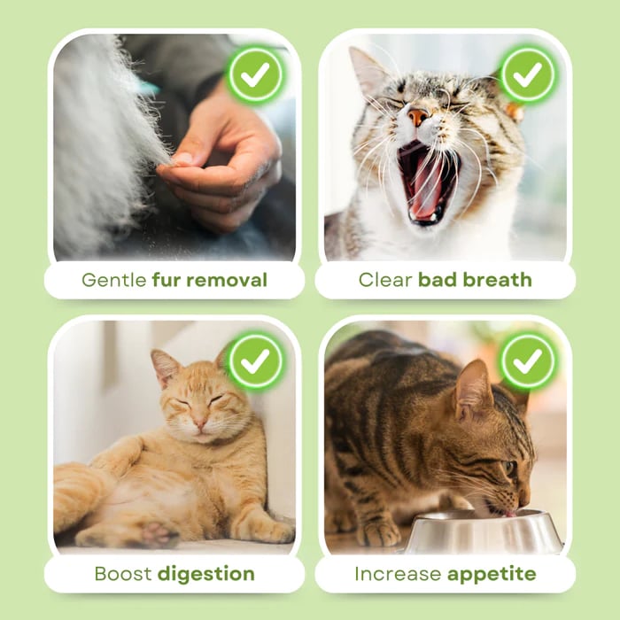 PurrChew – Natural Cat Grass Chew Sticks