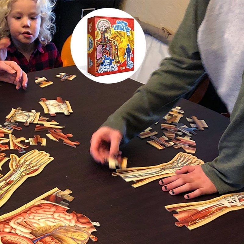 Organix – Interactive Anatomy Learning Puzzle