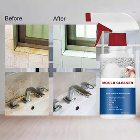 AuraShield – Heavy-Duty Mildew Remover