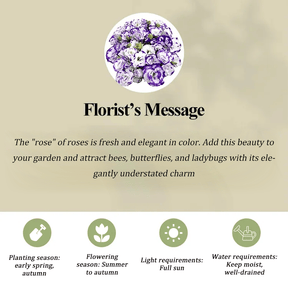 GardenMuse – Elegant Multi-Color Flower Seeds
