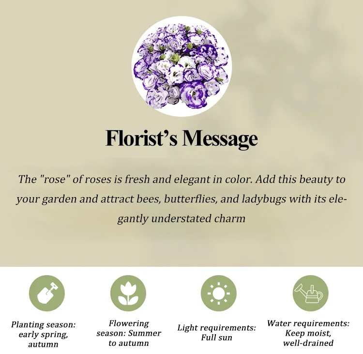 GardenMuse – Elegant Multi-Color Flower Seeds